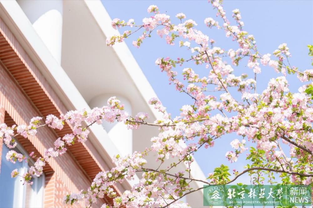 Beijing Forestry University — Beijing