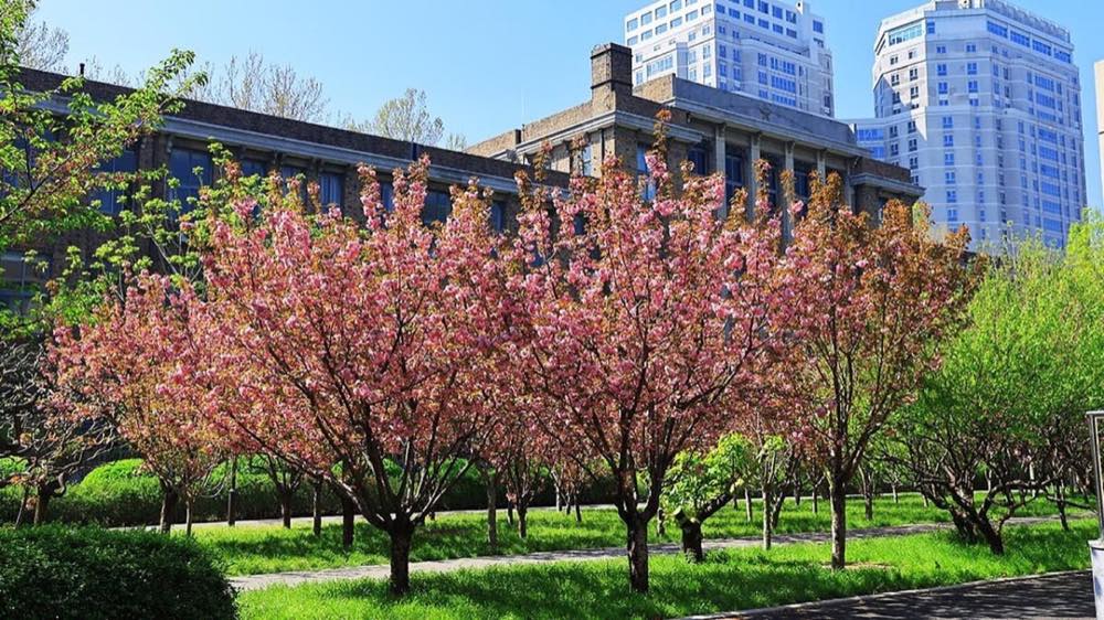 China Agricultural University — Beijing
