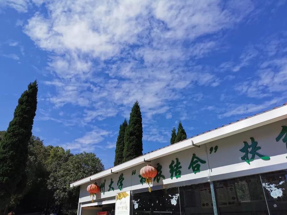 贵州大学 — 贵阳