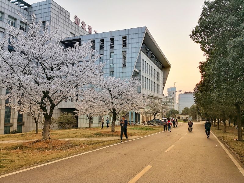 Hubei University of Education — Wuhan
