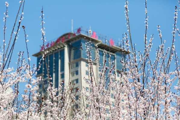 南京航空航天大学 — 南京