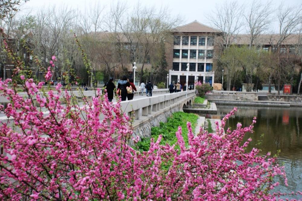 Tianjin University — Tianjin